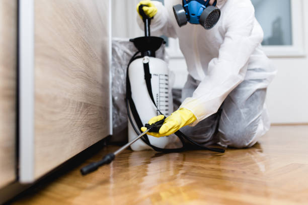 Best Mosquito Control Services  in Groveland, ID