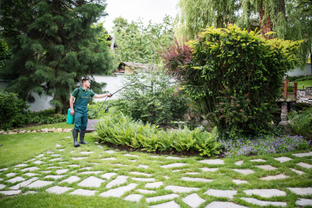 Groveland, ID Pest Control Company