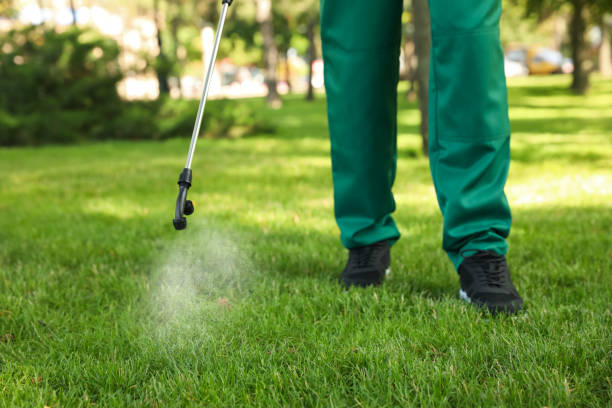 Best Commercial Pest Control Services  in Groveland, ID