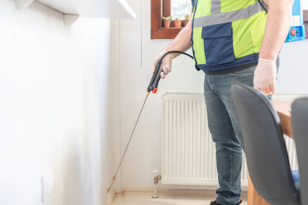 Best Local Pest Control Services  in Groveland, ID
