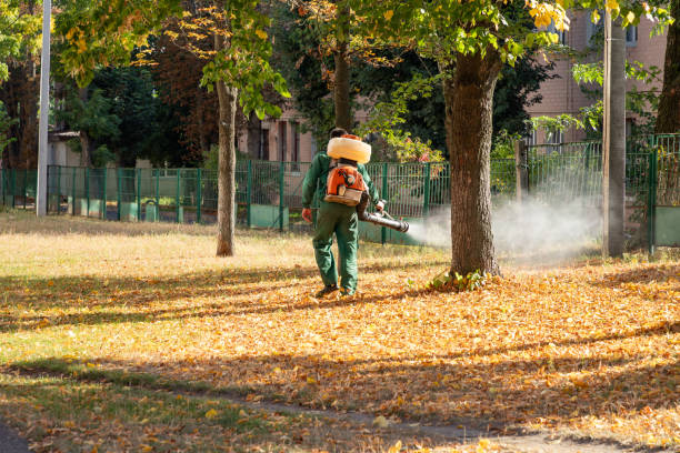 Best Termite Control Services  in Groveland, ID