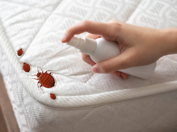 Best Pest Removal Services  in Groveland, ID