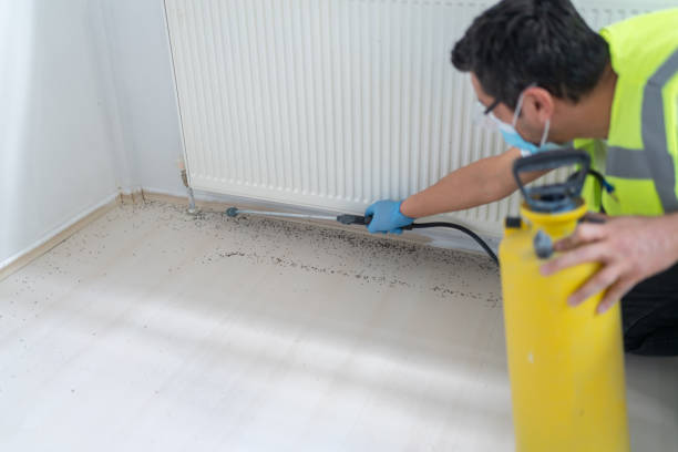 Best Best Pest Control Companies  in Groveland, ID