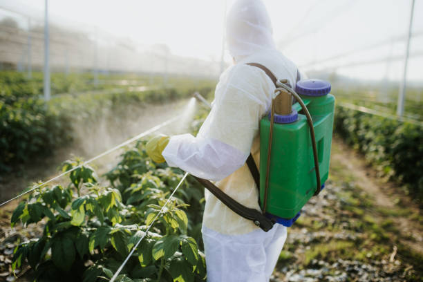 Pest Control for Restaurants in Groveland, ID